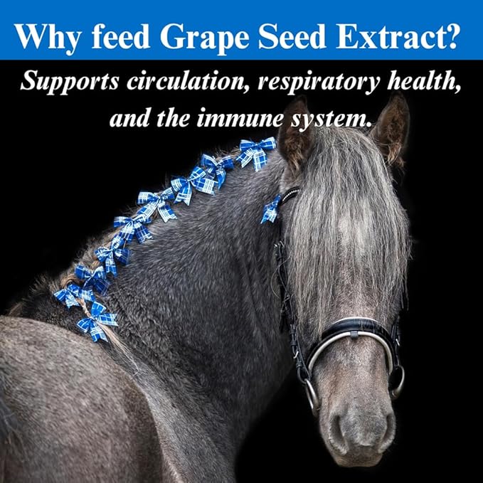 SU-PER Grape Seed Extract Horse Antioxidant - Equine Antioxidant Supplement for Performance Horses - Supports Circulation Respiratory Health & Immune System - 2.5 Pounds, (2 Pack)