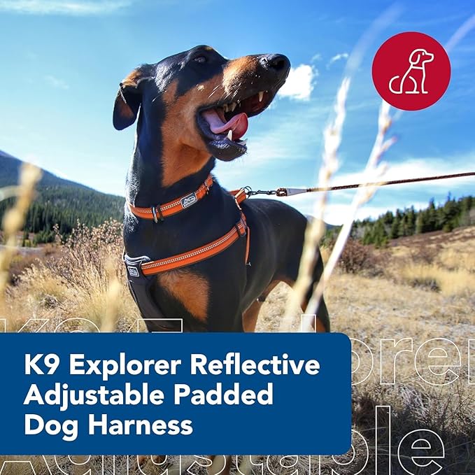 Coastal Pet K9 Explorer Reflective Adjustable Padded Dog Harness - Plush Chest Pad for Comfort - No-Pull Dog Harness for Small and Large Dogs - Campfire Orange - 1" x 20"-30", Medium