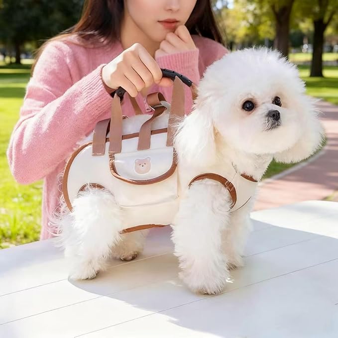 Portable Small Dog & Cat Pet Carrier Sling & Backpack for Small Dogs & Cats & Puppy, Dog & Pet Purse Bag Carrier Sling for Small Dogs with Dog Traction Leash, Crossbody Sling Carriers (Orange L)