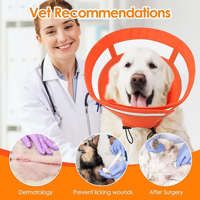 SAWMONG Soft Dog Cone Collar, Dog Cones for Large Dogs, Cone for Dogs to Stop Licking, E-Collar for Doggy After Surgery Adjustable, Comfy Elizabeth Pet Recovery Collar (L,Orange)