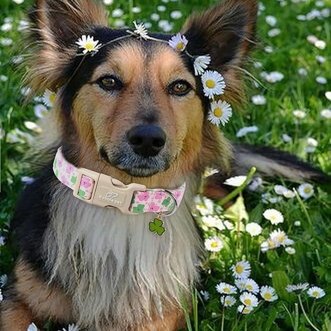 St Patricks Day Dog Collar for Medium Dogs - Cute Light Pink Shamrock Girl Dog Collars, Adjustable Irish Clover Puppy Collar with Quick Release Buckle M