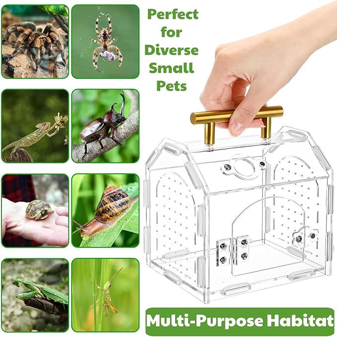 Jumping Spider Enclosure with Handle, Acrylic Reptile Habitat with One-Click Magnetic Closure, Front Opening Small Terrarium with Ventilation Holes for Tarantulas, Frogs, Gecko, Mantis