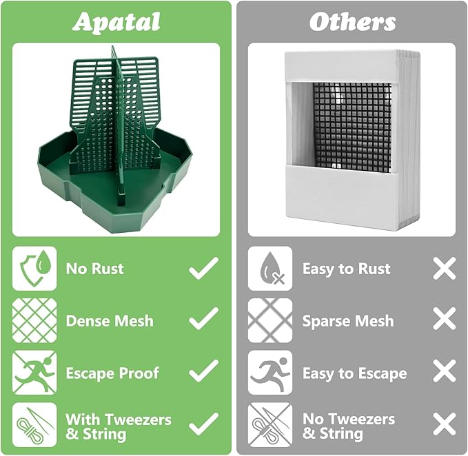 Chameleon Feeding Bowl Hanging Bearded Dragon Feeder Bug Bowls with Rope and Tweezers Mounted Insect Reptile Feeder Box for Lizard Gecko Frog (Green,Large)