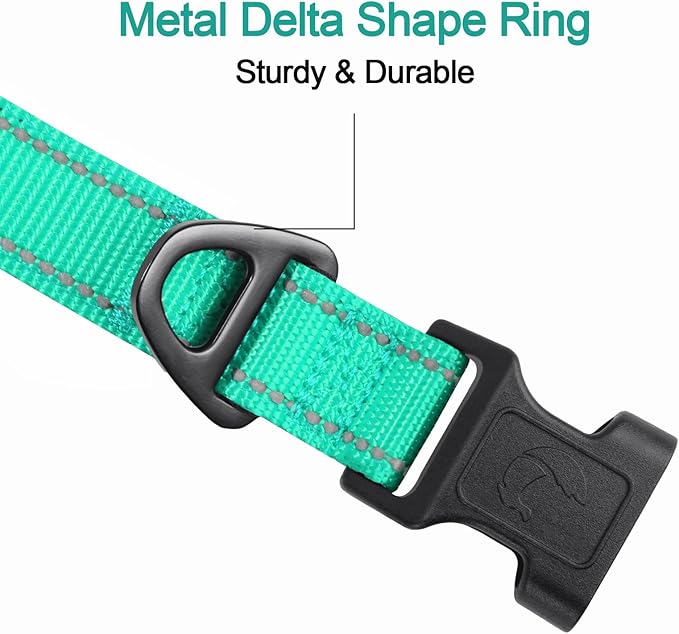 Joytale Reflective Dog Collar, Soft Neoprene Padded, Metal D-Ring, Nylon Pet Collar Adjustable for Small Dogs, Teal, S