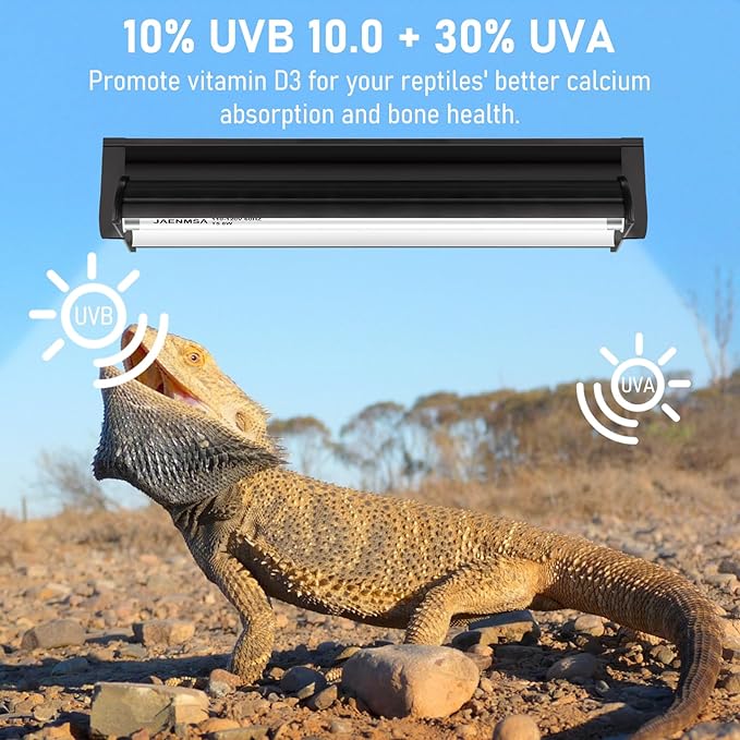 T5 10.0 UVB Reptile Light Bulbs 8W, UVA UVB HO Light Bar Bulbs 12 Inch for Reptiles,Bearded Dragon, Leopard Gecko,Tortoise,Reptile & Amphibian Replacement Tube Lamp 2 Pack