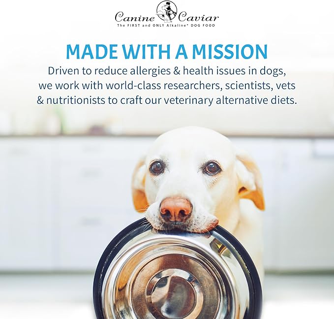 Canine Caviar - Wild Ocean: Herring & Teff Alkaline Dry Dog Food, Limited Ingredients, Gluten-Free, Based on Science & Research, Veterinary Alternative Diet (22 Pound Bag)