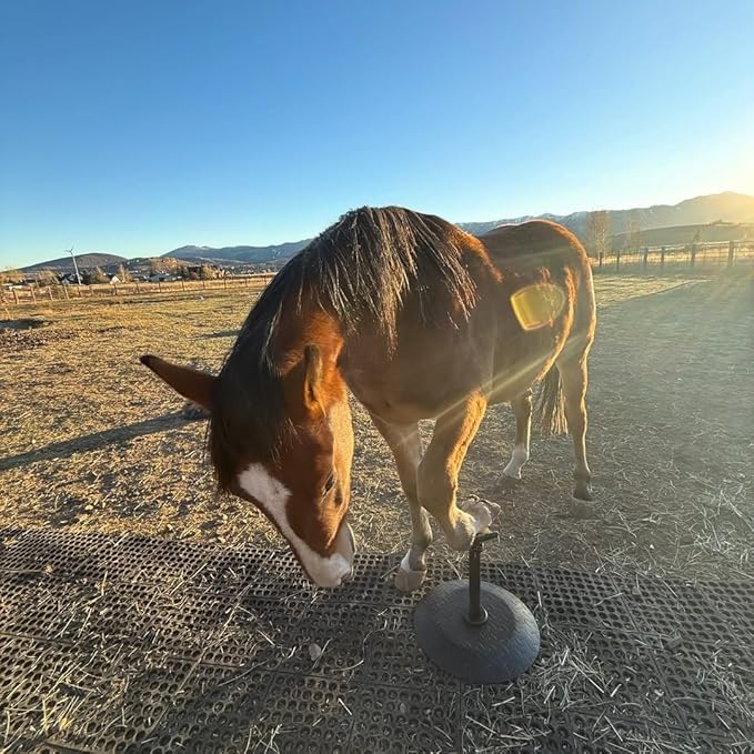 Horse Hoof Stand, Height Adjustable Farrier Stand for Horse Hoof Trimming, 17 in Wide Round Base for Foot Balance Control