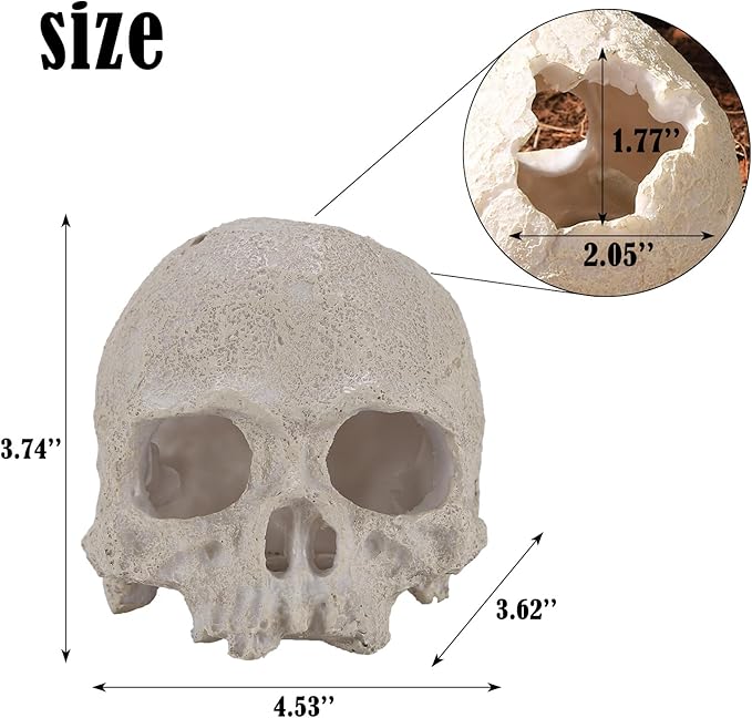 Resin Reptile Hideout for Tank Realistic Skull Decor for Terrarium White Decorative Skeleton Head Hides and Caves for Fish Ball Python Axolotl Tarantula