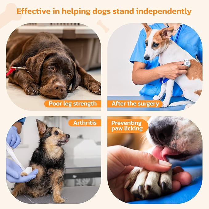 Non-Slip Paw Protector Pads for Senior Dogs, Anti-Slip Rubber Traction Stickers, Blue, 48pcs, L (21-40lbs)