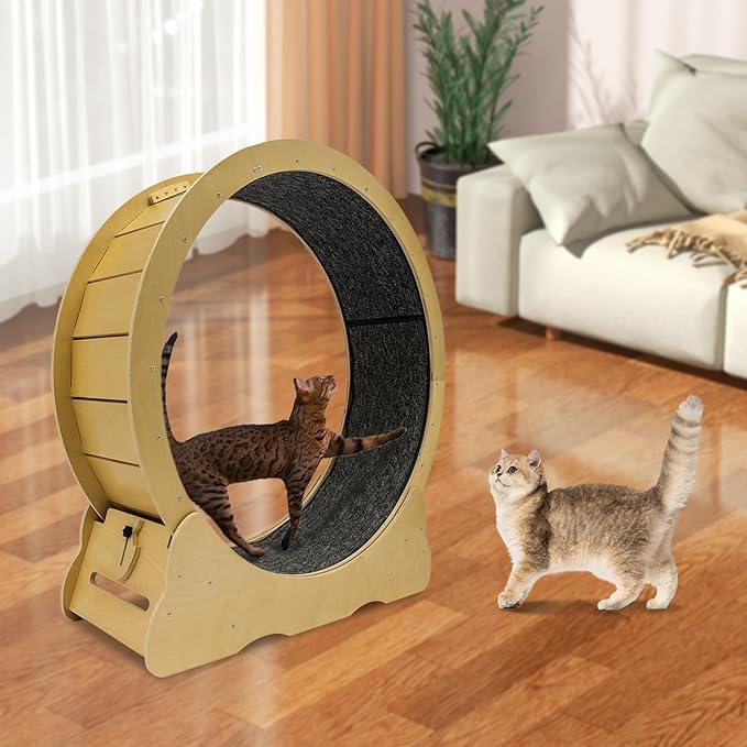 Large Cat Exercise Wheel Cat Running Wheel Treadmill Exerciser with Brake & Carpeted Runway for Most Cats Indoor