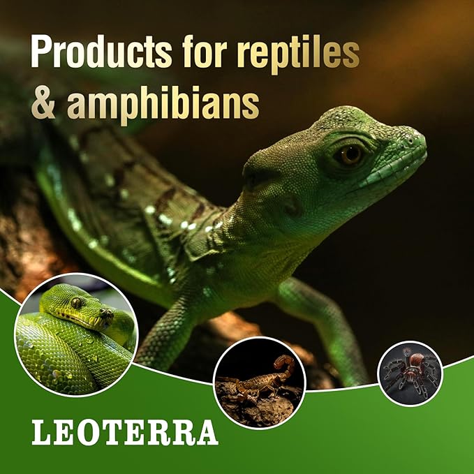 Leoterra 75W Heat Lamp 2PACK Heat Lamp Bulbs for Bearded Dragon, Lizard, Gecko, Frog,Snake,Chicken,Dog E26 Reptile Heat Lamp 75w Ideal for Reptile Terrarium