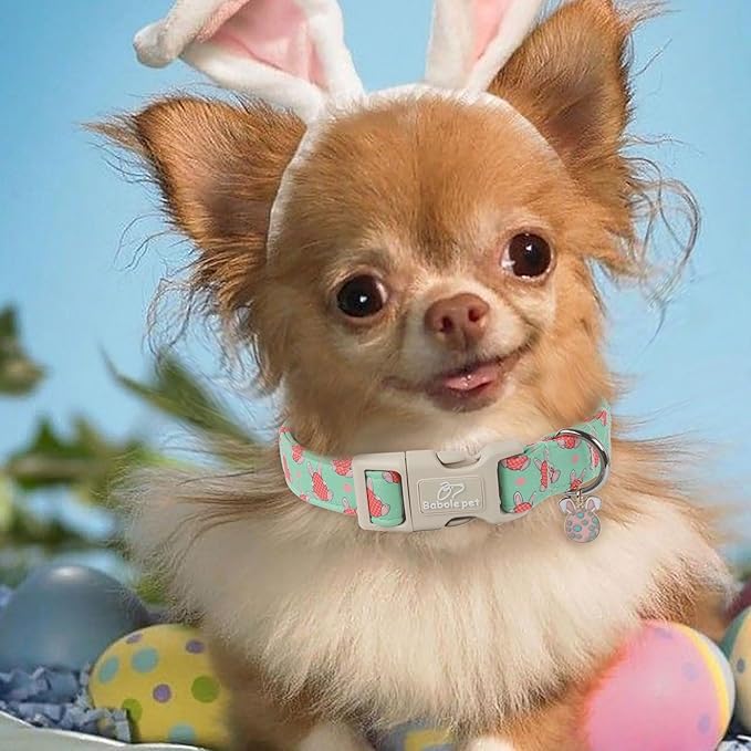 Easter Dog Collar for Large Dogs - Green Bunny Egg Dog Collars, Cute Boy Girl Dogs Easter Collar, Adjustable Spring Holiday Pet Collars with Quick Release Buckle XL