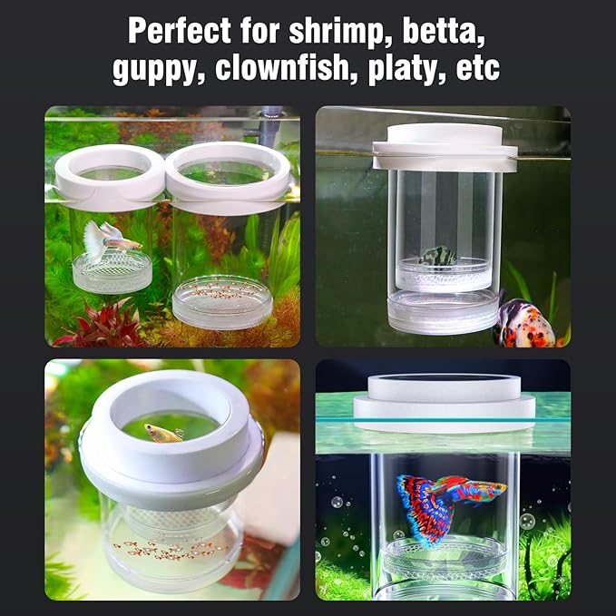 Floating Breeder Box for Fish Tank – Aquarium Isolation Separator Hatchery Incubator for Guppy, Betta, Clownfish, Coral, Baby & Injured Fish