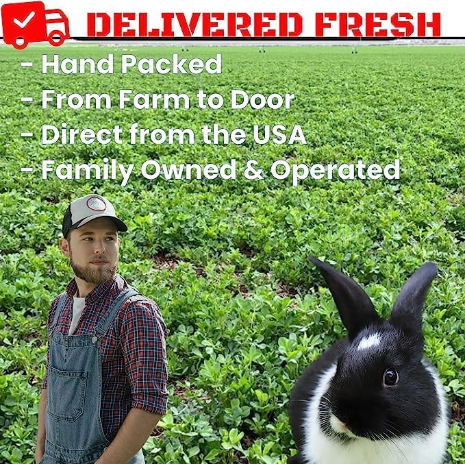 Bunny Honey Organic Alfalfa Hay for Tortoise 12 lb Dim wt/5 lb High-Protein & Calcium, Supports Growth & Dental Health, Fresh & Nutritious