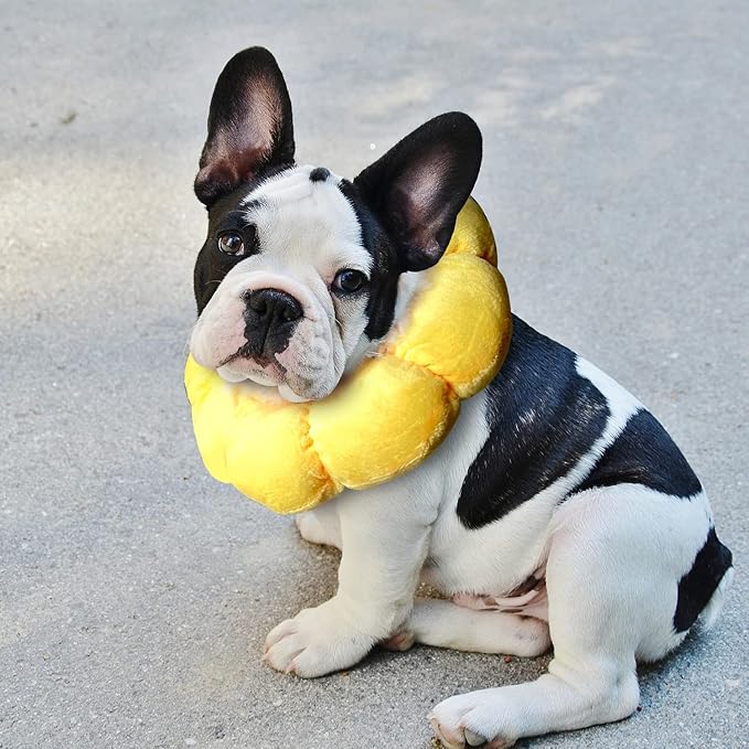 KUDES Cat Small Dog Recovery Collar, Cute Sunflower Neck Cone After Surgery, Adjustable Pet E Collar, Wound Healing Protective Cone Surgery Recovery Elizabethan Collars for Small Pets