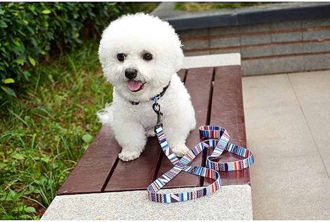 Roses&Poetry Dog Collar with Colourful Stripe Patterns, Adjustable Durable Puppy Collars for Small Medium Large Dogs (Stripe-XS)