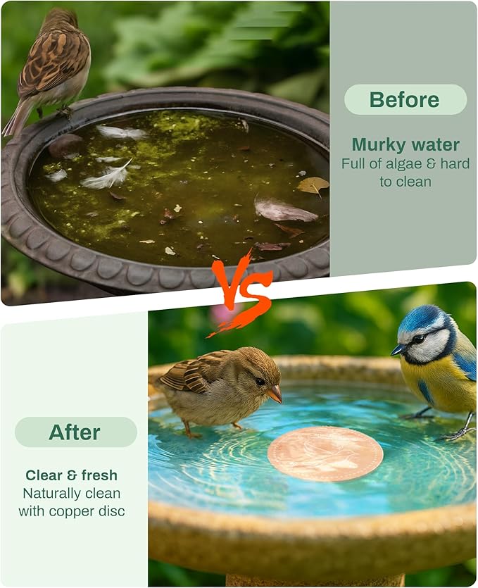 Bird Bath Purification Disk Pure Copper Outside Winter Solar Power Birdbath Heater Deicer Cage Hanging Bowl Metal Warmer Deck Railing Glass Concrete Ceramic Stone Stand Outdoor Fountain Station