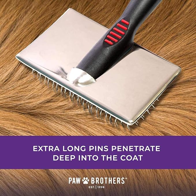 Ryan's Pet Supplies Paw Brothers Flat Slicker Brush for Dogs, Dog Brush for Short Haired Dogs, Professional Grade, Coated Tips, Gentle on Skin, Maximum Coverage, Medium, 3.5 in x 1.625 in