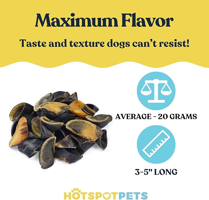 Full-Size Cow Hooves for Dogs | (10 Pack) All-Natural Long Lasting Dog Chews | Made from Grass Fed Cattle | Tasty Treat for Oral Hygiene | Fantastic Alternative for Rawhide and Bully Sticks