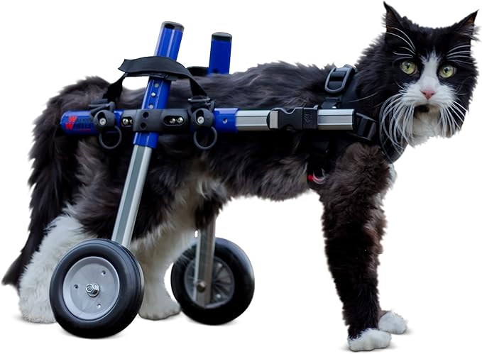 Walkin' Wheels Lightweight – for Small Cats 2 to 20 Pounds – Veterinarian Approved – Cat Wheelchair for Back Legs, for Cats 11-20 lbs, 9-13 inches Leg Height – Blue
