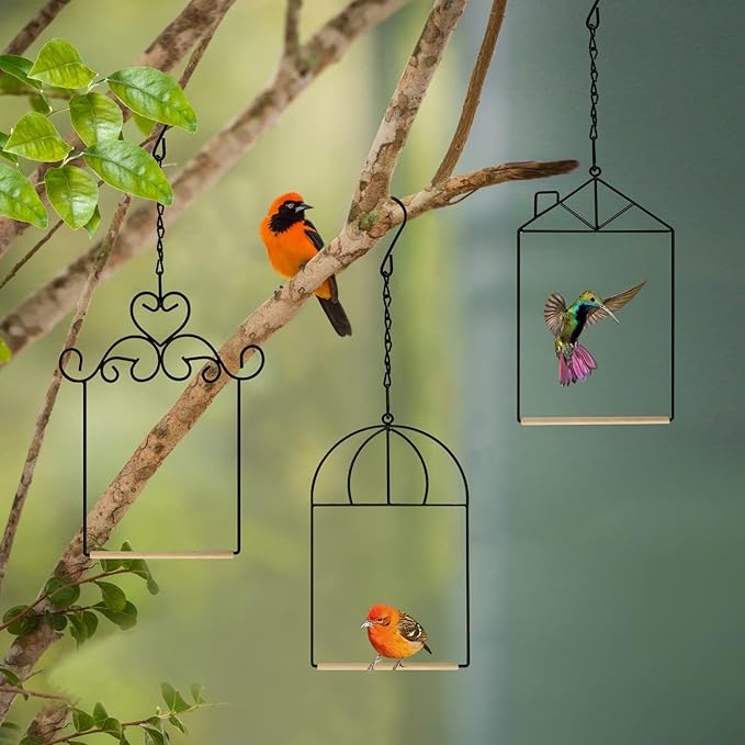 3PK Metal Frame Hummingbird Swings and Perches with Wooden Dowel Black Bird Swing Outdoor Bird Perch Humming Bird Swing