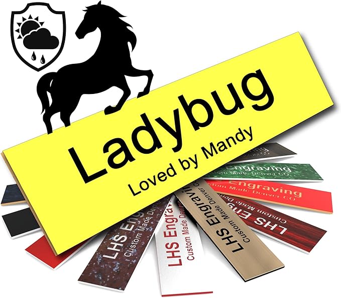 Horse Stall Name Plate, 2x8 Personalized Stall Signs, UV Protected, All Weather Adhesive, Hanging, Mounting or Other, Yellow Plastic Black Letters - Made in USA - B4