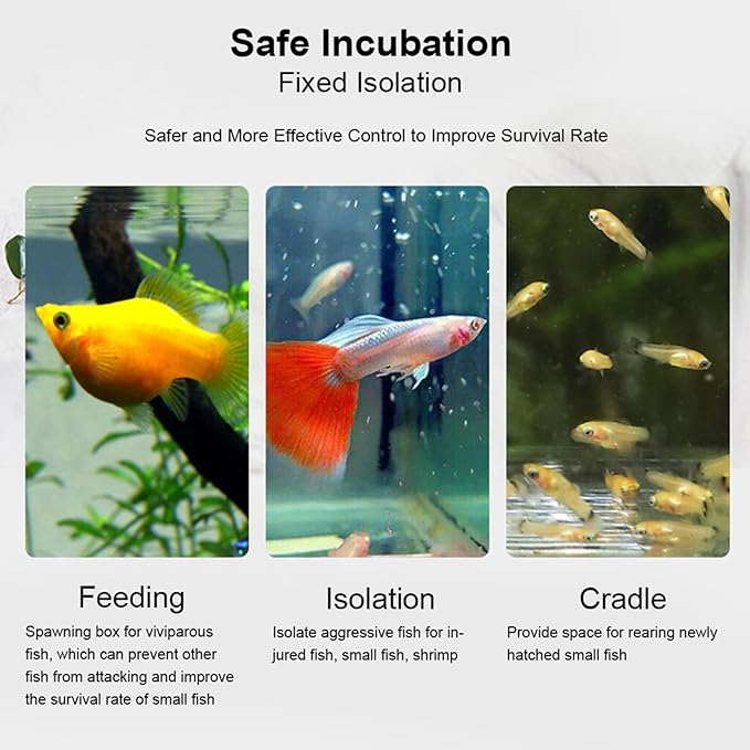 Acrylic Transparent Fish Tank, Breeding Isolation Box Aquarium Hatchery Incubator Holder with Screw Reinforcement, Convenient Use Comes with Isolation Board for Fish Breeding