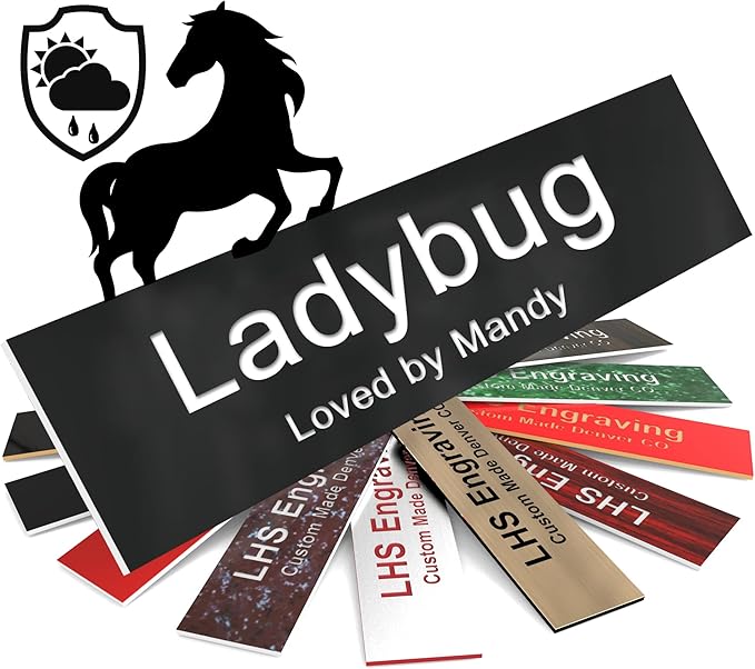 Personalized Horse Stall Name Plates, 2x8 Horse Stall Signs with Adhesive, All Weather UV Protected, Black Plastic White Letters - Made in USA - B2