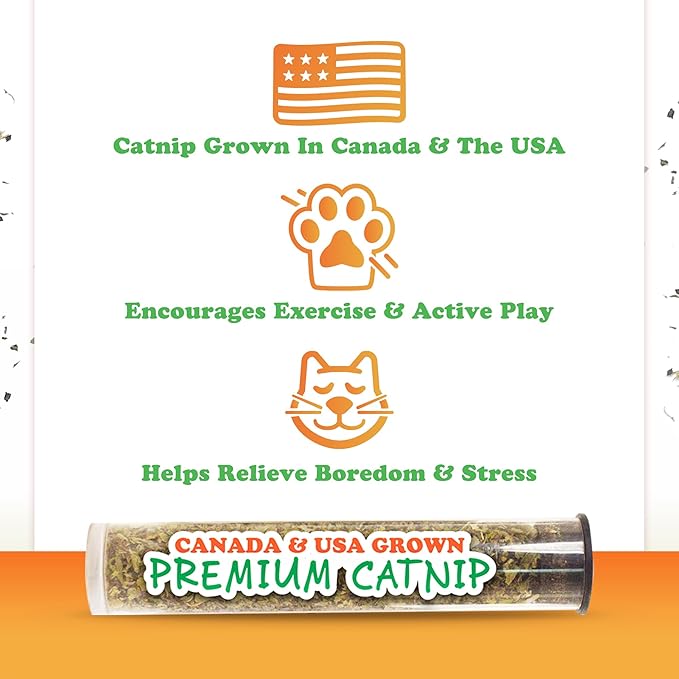 Meowijuana Refillable Cat Toys | Get Spooked - Pumpkin Catnip Toy | Includes Potent Hand Harvested Catnip Grown in North America | Promotes Play and Cat Health
