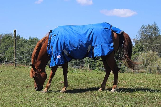 Derby Originals Nordic Tough 1200D Ripstop Waterproof Reflective Winter Horse Turnout Blanket 300g Heavy Weight, Chocolate Brown, 84"
