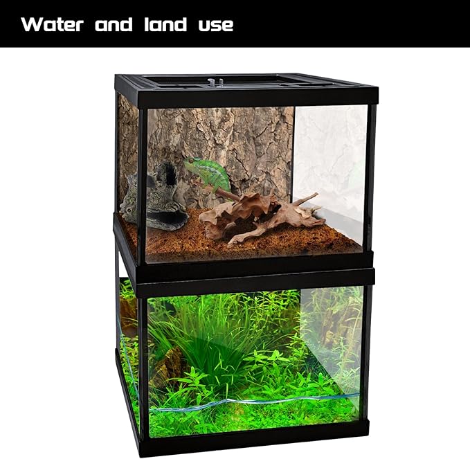 Mini Reptile Glass Terrarium Tank 8 * 8 * 6" Full View, Amphibians Box Habitat Enclosure Cage for Frog,Spiders,Dubia Cockroach,Praying Mantis,Cricket,Tarantula,Hermit Crab