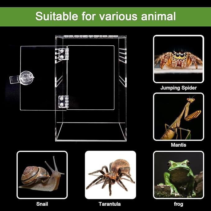 Spider Terrarium Kit, Jumping Spider Enclosure with Hideout, Rope Bridge, Ledge Ladder, Micro Habitat Terrarium for Small Tree Dwelling Reptiles, Arboreal Tarantula Enclosure (6x6x9 Inches)