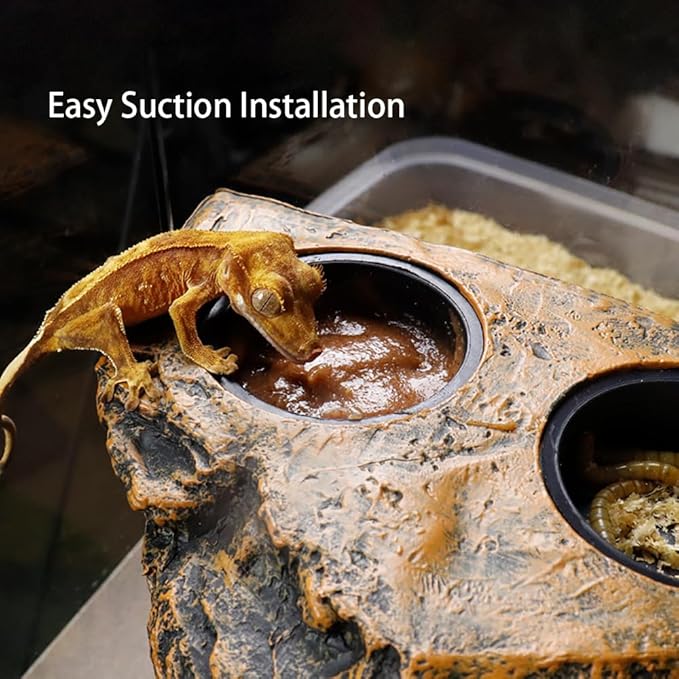 Reptile Magnetic Feeder Ledge, Reptile Food and Water Dish with Bowl Feeding Cups for Lizards, Crested Gecko, Lizard and Chameleons Pets, Easy Install Terrarium Tank Accessory (Single Feeder)