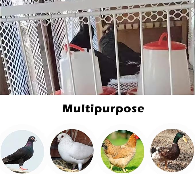 Pigeon Trap Loft Door with Steel Frame, Rust Resistant Bird Cage House Door for Racing Pigeons, Supplies (12in/ 30cm)