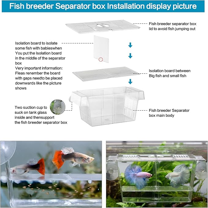 Fish Egg Incubator and Tumbler: Aquarium Cichlid Hatchery with Inbuilt Air Pump - Isolation Breeding Box, Small Fish Net and Tweezer