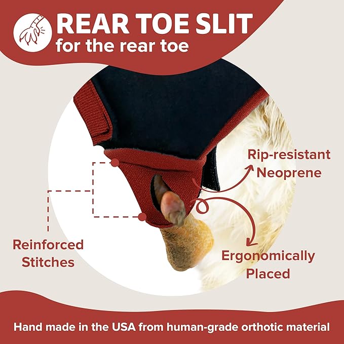 Duck Shoes for Injured Feet – Protective Neoprene Footwear for Ducks, Protective Shoes for Birds with Injured feet, Bumblefoot Relief - Small, 2.5’’ Max. Inside Width - Red