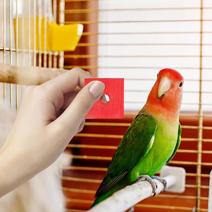 Parrot Toys 100 Pcs Wooden Blocks Bird Chewing Trim Beak Foot Craft Cage Part Mini Wood Chip Charms DIY Playing Chewing Shredding Mixed Large Bird Toys