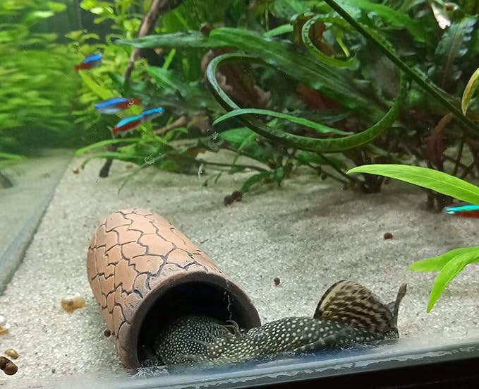 Plecoceramics Aquarium pleco breeding cave Fish Tank Decorations Small Size (4 pcs)