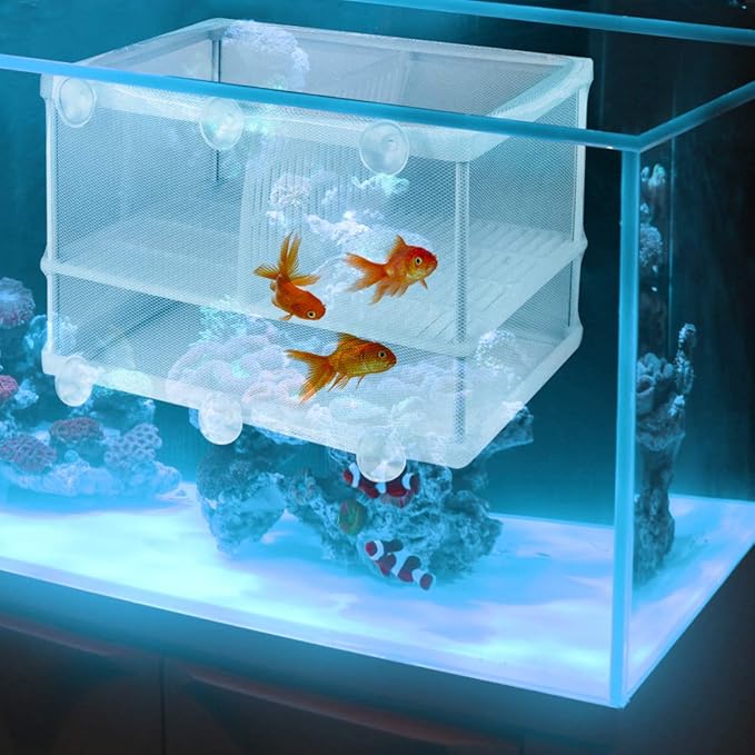 POPETPOP 1pc Portable Fish Hatching Net Water Separation Box for Aquarium Isolation Breeding Tank Separator Easy to Use and Install and Cloth Material