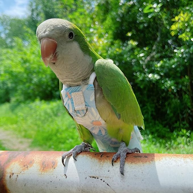 Snap-Closure Parrot Diapers with Adjustable Leash - Washable Bird Flight Suits for Cockatiels, Sun Conures & Quaker Parrots Secure & Chew-Resistant (L – Rainbow Honey Sucker/Golden Sun + 1m Rope)