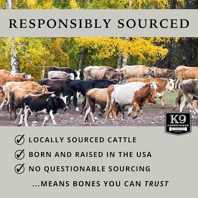 K9 Connoisseur Beef Marrow Large Dog Bones Long Lasting for Aggressive Chewers - USA Made Single Ingredient Champ Bones for Large Dogs Over 50 Pounds - 10 Pack