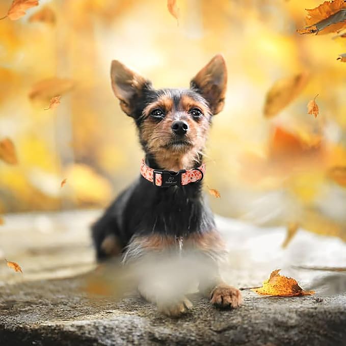 Fall Dog Collar, Cute Football Pattern Puppy Collar, Orange Adjustable Cotton Holiday Tanksgiving Dog Collars for Small Medium Large Boy&Girl Dogs L