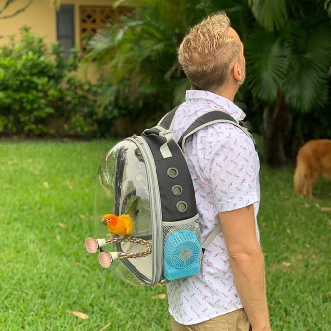 Bird Travel Backpack Carrier, Clear Bubble Window Transport Backpack for Birds, Space Capsule Astronaut Liked Vet Carry School Bag for Parakeet Parrot (M-GRN, Clear Bubble)