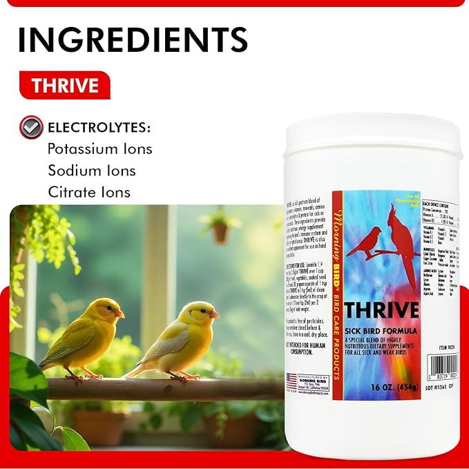 Morning Bird Thrive 16 Oz - Multi-Vitamin Bird Supplement Designed for Immune and Recovery Support - Formulated for Sick or Injured Birds - Protein Supplement and Energy Booster for All Adult Birds