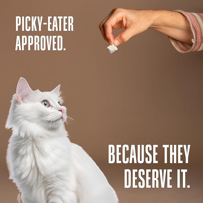 Whole Life Cat Just One Turkey Freeze Dried Cat Treats - Human Grade High Protein Food, Healthy Training Snacks, Freeze Dried Turkey Food Toppers, USA Made Natural Treats - 1.2 oz (Pack of 1)