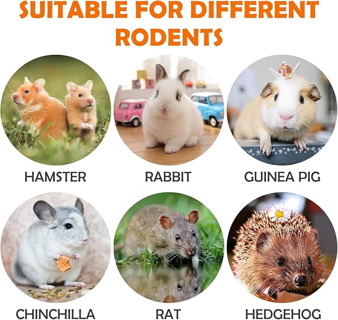 Sofier 300g Sweet Bamboo Chew Sticks for Rabbit, Bunny, Guinea Pig, Hamster - Natural Handmade Treats and Chews for Teeth - Chinchilla, Rat, Gerbil Toys