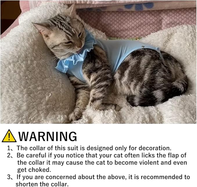 Cat Recovery Suit for Abdominal Wounds and Skin Diseases,Breathable Surgical Recovery Shirt After Surgery Wear Anti Licking Wounds,E-Collar Alternative for Female Cats Kitten(RSC01-orange-m)