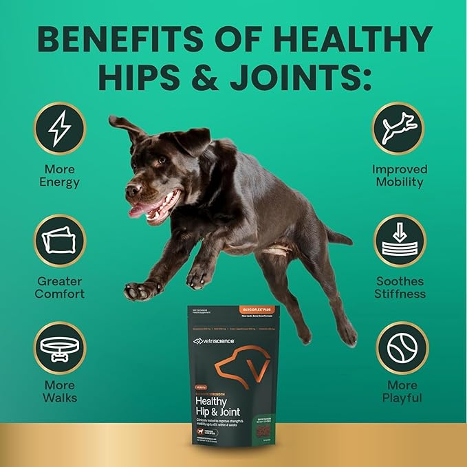 VetriScience Ultimate Strength Hip & Joint Supplement for Dogs, GlycoFlex Plus – MSM, Chondroitin & Green-Lipped Mussel Chews for Mobility, Flexibility, Comfort & Support, Bacon Flavor, 60 Cnt
