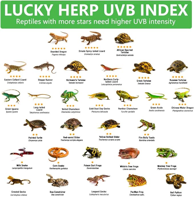 LUCKY HERP 15inch 14W T8 UVB 5.0 Reptile Light, UVA UVB Bulb, Fluorescent Lamp for Reptiles Amphibian