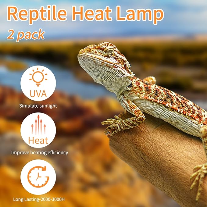 New Upgrade Reptile Heat Lamp Bulb (3rd Gen No Broken), 50W 2 Pack Basking Spot Light for Reptiles & Amphibians,UVA Daylight Heat Bulb for Bearded Dragon, Turtle